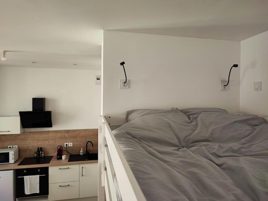 Appartement Escale Entre Cite Et Bastide Clim Wifi Smart Tv à Carcassonne Extérieur photo